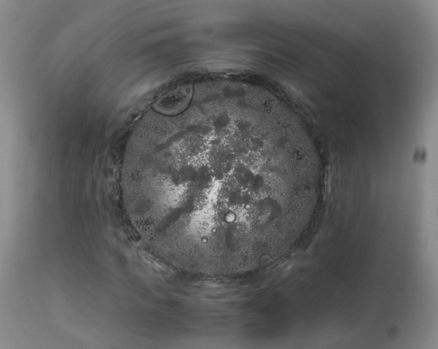 X0000112880917200908211447