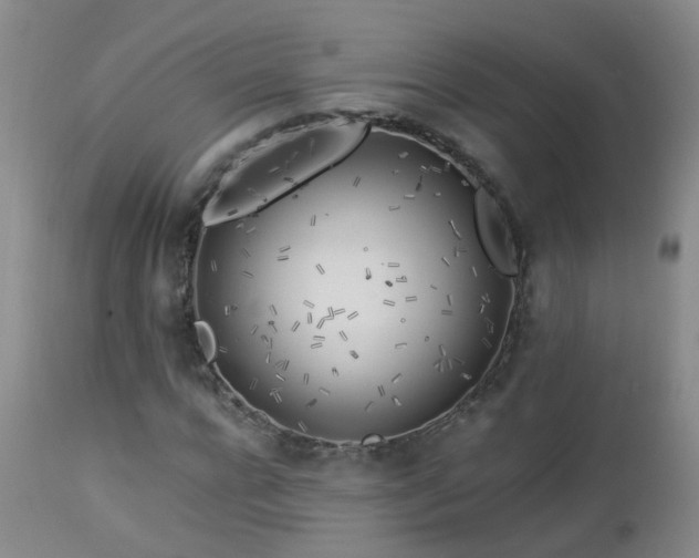 X0000112880920200908211447