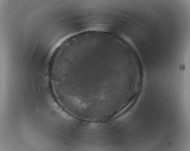 X0000112880923200908211447