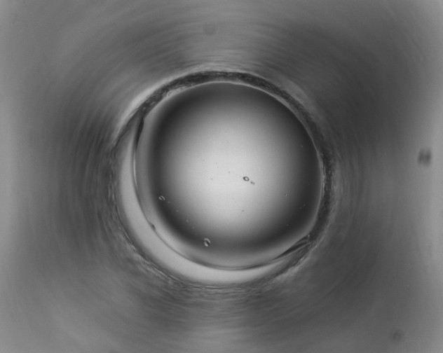 X0000112880926200908211447