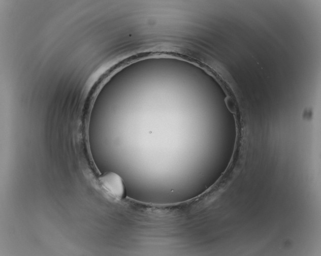 X0000112880928200908211447