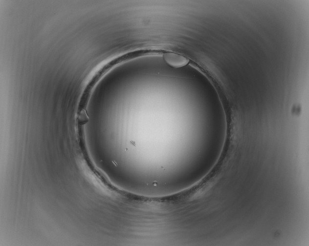 X0000112880932200908211448