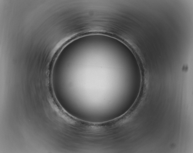 X0000112880933200908211448