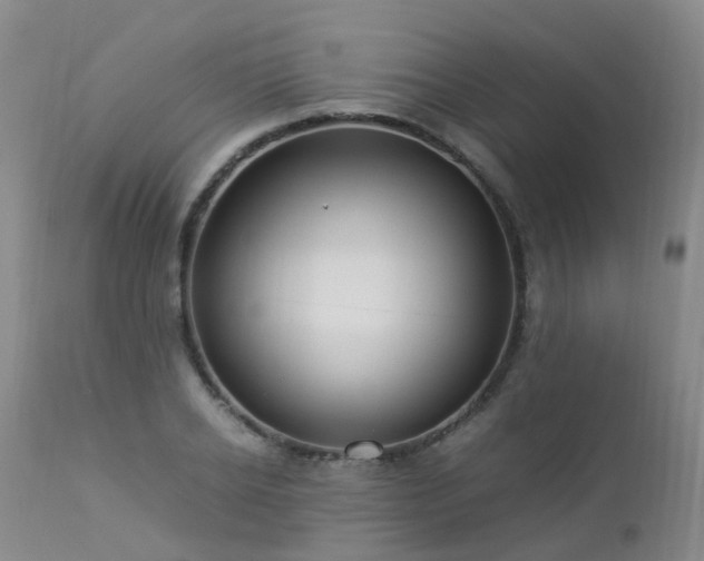 X0000112880934200908211448