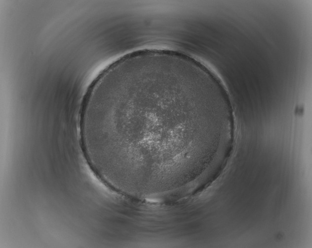 X0000112880935200908211448