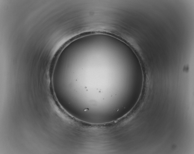 X0000112880936200908211448