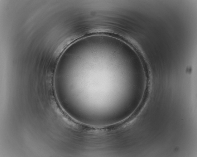 X0000112880937200908211448