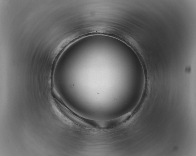 X0000112880938200908211448