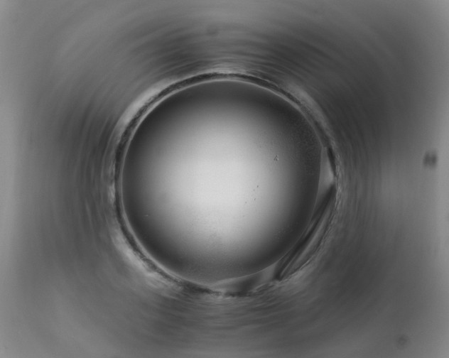 X0000112880939200908211448