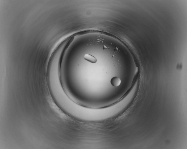 X0000112880940200908211448