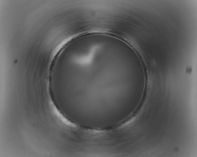 X0000112880941200908211448