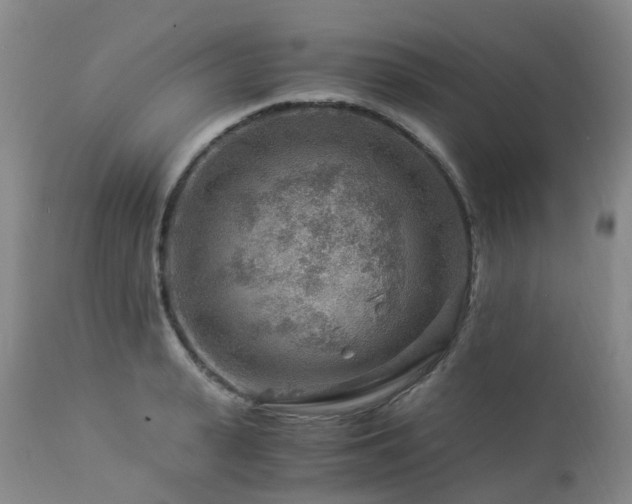 X0000112880943200908211448