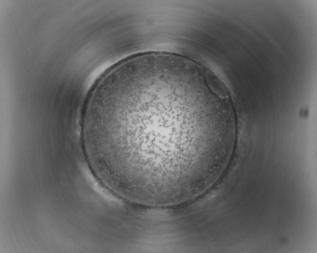 X0000112880944200908211448