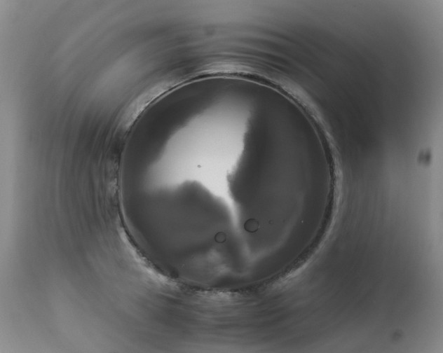 X0000112880945200908211448