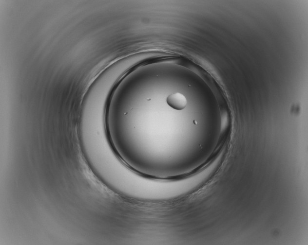 X0000112880946200908211448