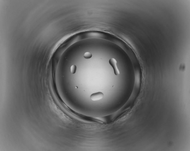 X0000112880948200908211448