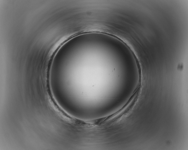 X0000112880949200908211448