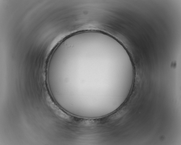 X0000112880950200908211448