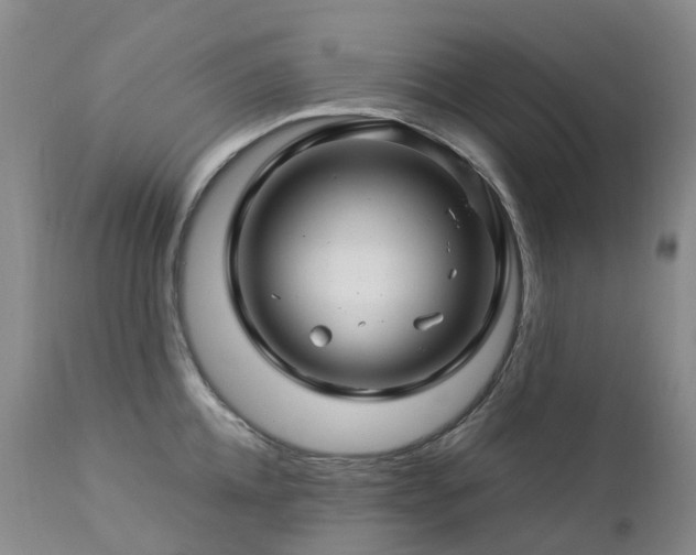 X0000112880952200908211448