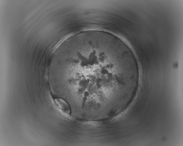 X0000112880953200908211448