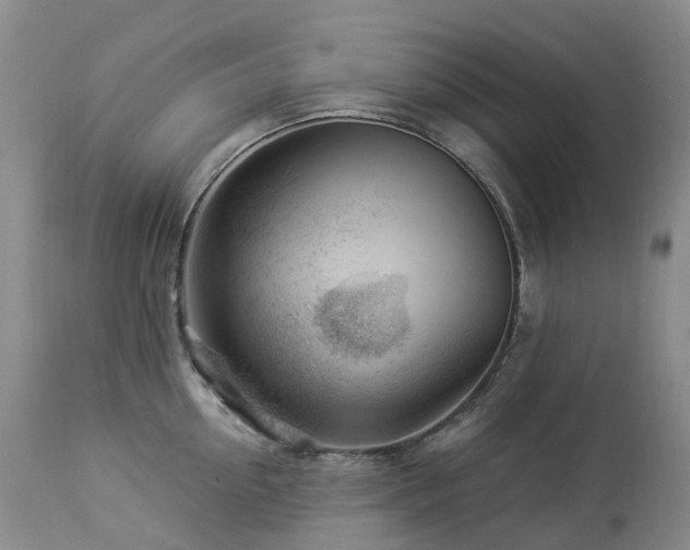 X0000112880954200908211448