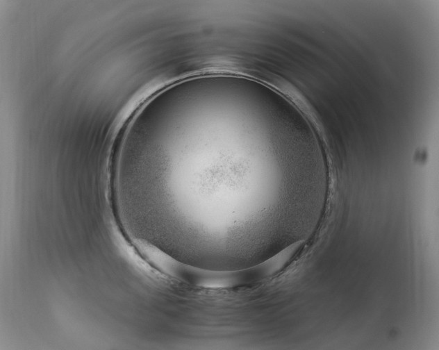 X0000112880955200908211448