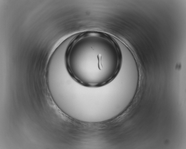 X0000112880956200908211448