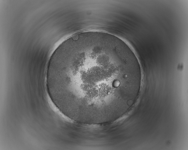 X0000112880957200908211448