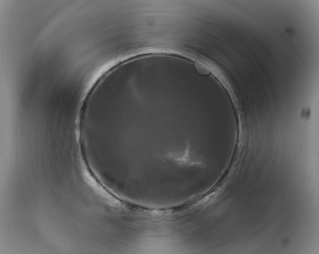 X0000112880958200908211448