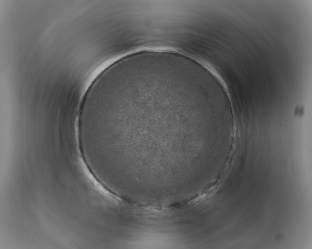 X0000112880959200908211448