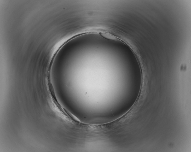 X0000112880960200908211448