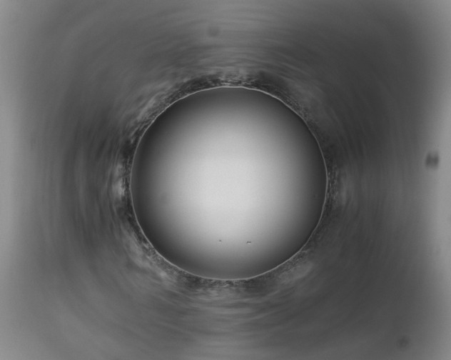 X0000112880962200908211447