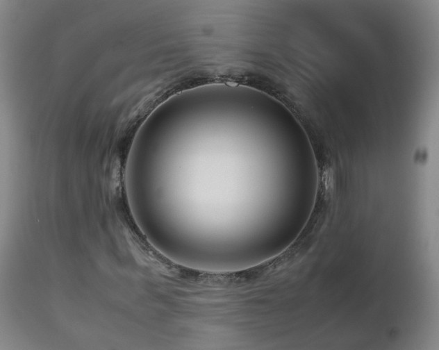 X0000112880963200908211447