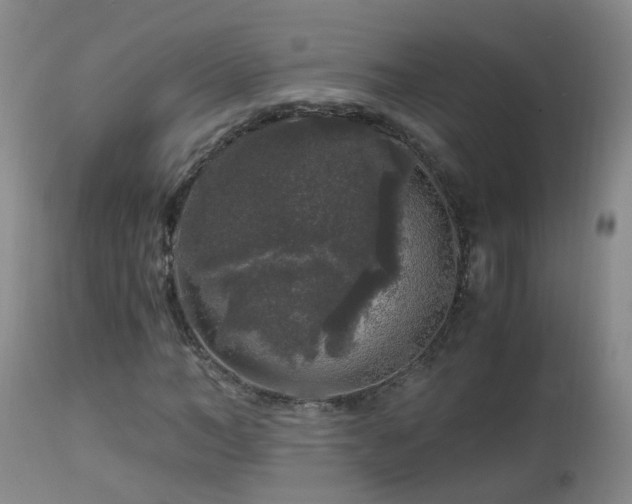 X0000112880966200908211447