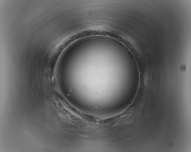 X0000112880968200908211447