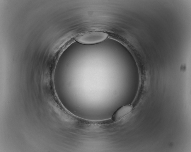 X0000112880969200908211447