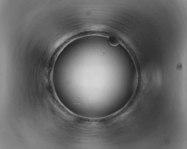 X0000112880970200908211447