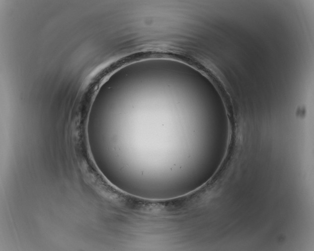 X0000112880971200908211447