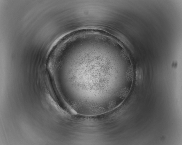 X0000112880972200908211447