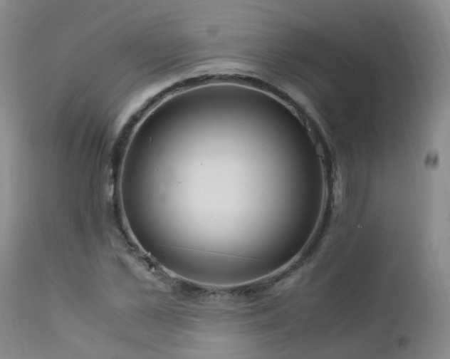 X0000112880973200908211447