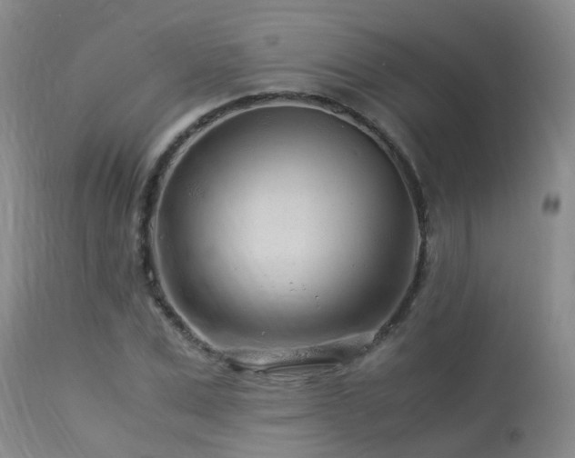 X0000112880975200908211447