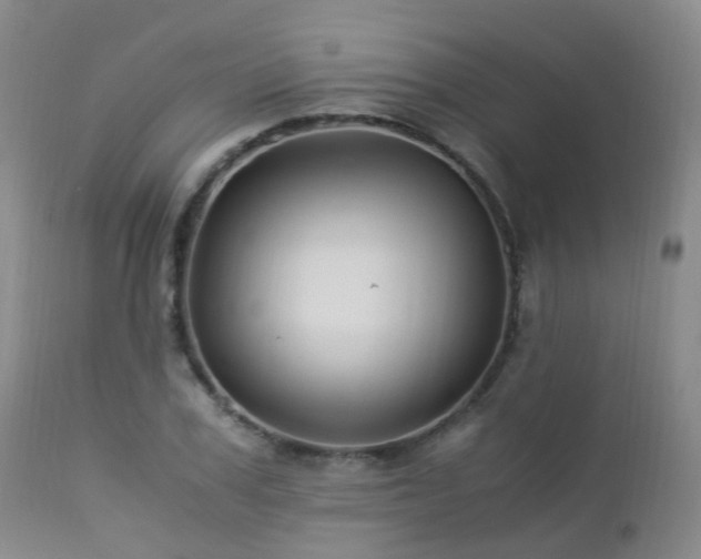 X0000112880979200908211447