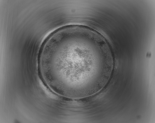 X0000112880980200908211447