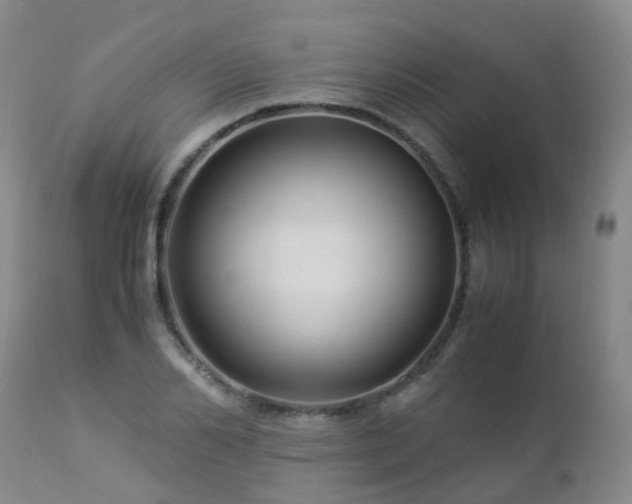 X0000112880982200908211447