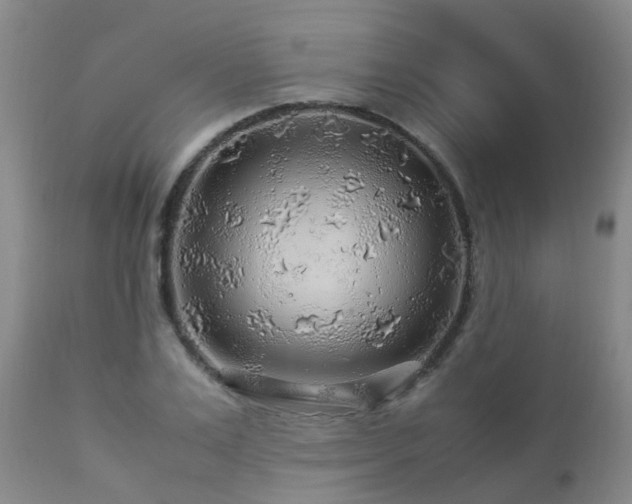 X0000112880983200908211447