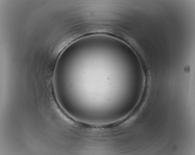 X0000112880985200908211447