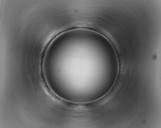 X0000112880986200908211447