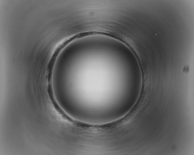 X0000112880987200908211447