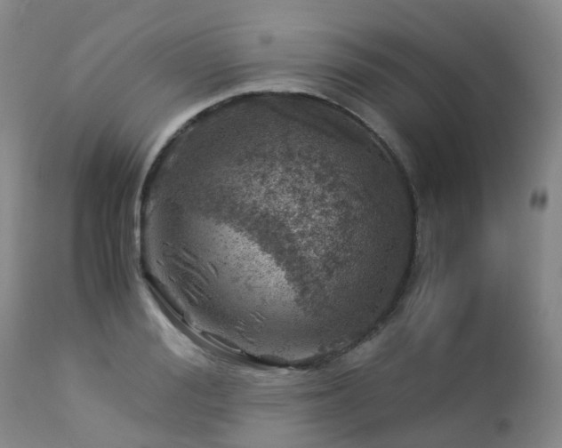 X0000112880988200908211447