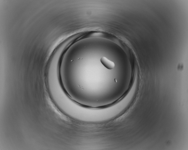 X0000112880989200908211447